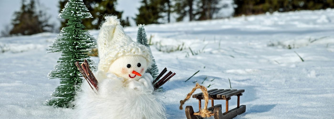 snowman-2955780_1920 snowman-2955780_1920